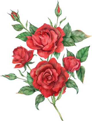 bloomingred-rose-flower-set-151525