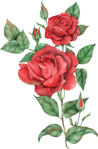 bloomingred-rose-flower-set-860284