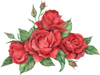 bloomingred-rose-flower-set-980007