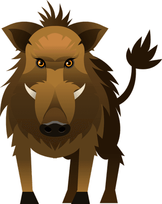 boaranimals-species-icons-lion-tiger-fox-boar-sketch-698927