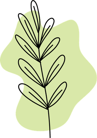 bohemianflowers-shapes-color-pallet-vector-illustration-638201