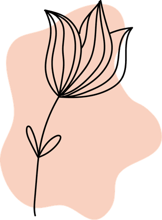 bohemianflowers-shapes-color-pallet-vector-illustration-237473
