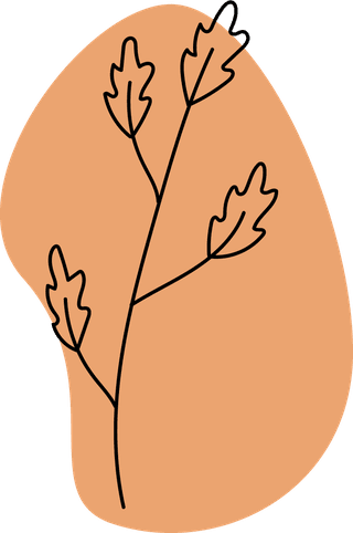 bohemianflowers-shapes-color-pallet-vector-illustration-714518