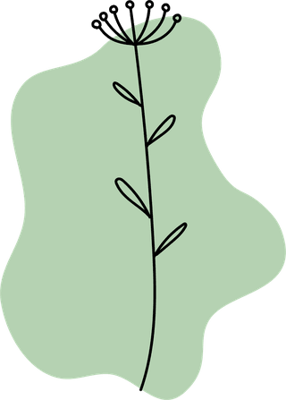 bohemianflowers-shapes-color-pallet-vector-illustration-686974