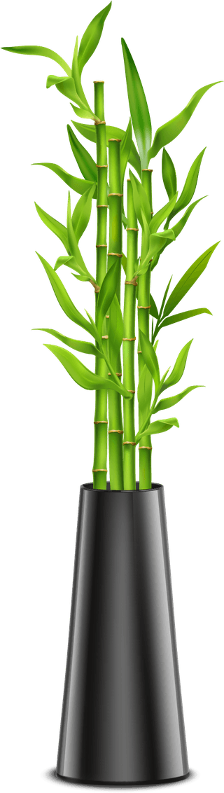 bonsaipot-set-with-hibiscus-succulents-ivy-hanging-pots-fan-palm-bamboo-stalks-vase-640121