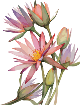 botanicalart-watercolor-vector-cover-flower-583462