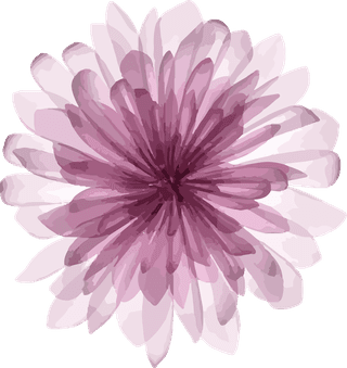 botanicalflowers-art-watercolor-pink-vector-cover-735267