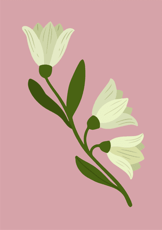 botanicalwhite-flower-on-a-green-illustratio-art-beautiful-bloom-vector-cover-728308