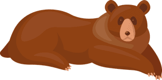 brownbear-brown-bears-set-13962
