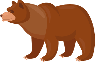 brownbear-brown-bears-set-697756