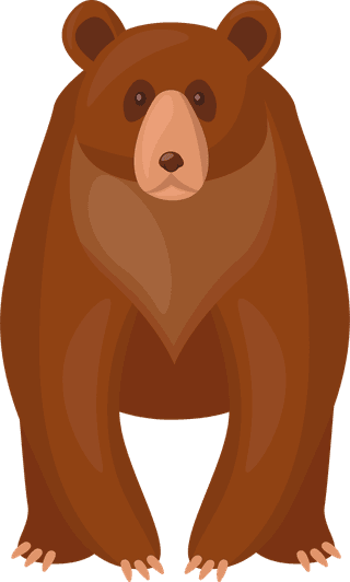 brownbear-brown-bears-set-480840