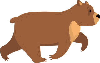 brownbear-funny-grizzly-bears-set-467912