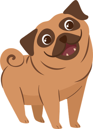 bulldog-different-action-emotion-happy-smiling-pet-sleeping-eating-having-fun-478709