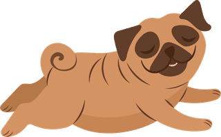 bulldog-different-action-emotion-happy-smiling-pet-sleeping-eating-having-fun-401341