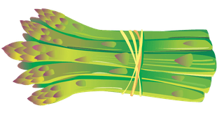 bunchof-asparagus-wine-with-cheese-and-grapes-bread-vector-164757