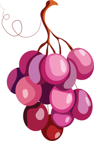 bunchof-grapes-autumn-design-elements-classical-nature-elements-sketch-708823
