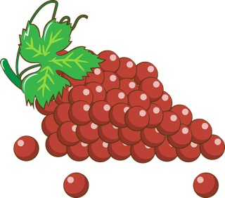 bunchof-grapes-colorful-cartoon-different-types-of-grapes-and-wine-set-isolated-on-white-137654