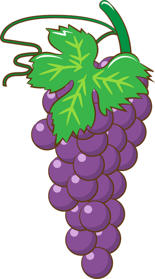 bunchof-grapes-colorful-cartoon-different-types-of-grapes-and-wine-set-isolated-on-white-827965