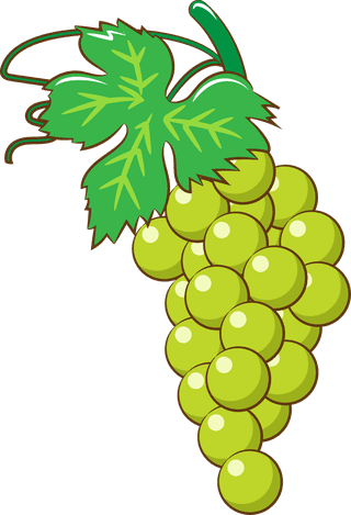 bunchof-grapes-colorful-cartoon-different-types-of-grapes-and-wine-set-isolated-on-white-760616