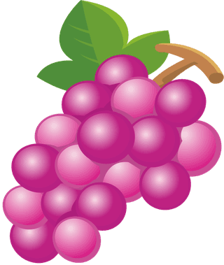 bunchof-grapes-fruit-of-grapes-vector-790675