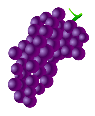bunchof-grapes-fruit-of-grapes-vector-739376