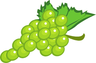 bunchof-grapes-realistic-grapes-and-wine-design-vector-940171