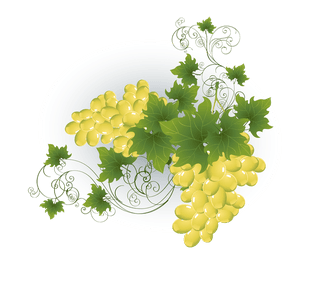 bunchof-grapes-wine-and-beer-815444
