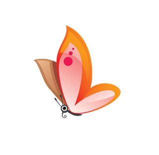 butterflybeautiful-flowers-vector-964554