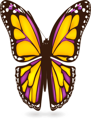 butterflybutterflies-icons-collection-colorful-modern-design-560998