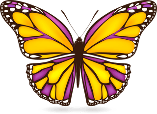 butterflybutterflies-icons-collection-colorful-modern-design-447541