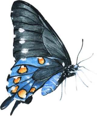 butterflycollection-hand-drawn-animals-490091