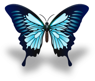 butterflyexcellent-collection-butterflies-705572