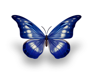 butterflyexcellent-collection-butterflies-244154