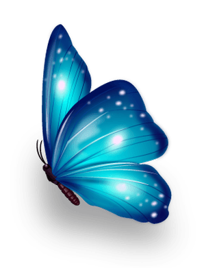 butterflyexcellent-collection-butterflies-372619