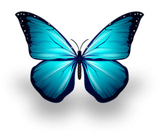 butterflyexcellent-collection-butterflies-847447
