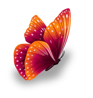 butterflyexcellent-collection-butterflies-684493