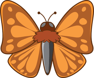 butterflylarge-set-of-wildlife-with-many-types-of-animals-illustration-272638