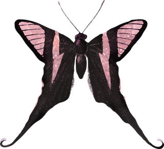 butterflypink-holographic-glittery-butterfly-design-element-set-vector-478525