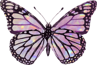 butterflypink-holographic-glittery-butterfly-design-element-set-vector-560686