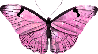butterflypink-holographic-glittery-butterfly-design-element-set-vector-115990