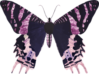 butterflypink-holographic-glittery-butterfly-design-element-set-vector-177738