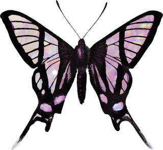 butterflypink-holographic-glittery-butterfly-design-element-set-vector-880440