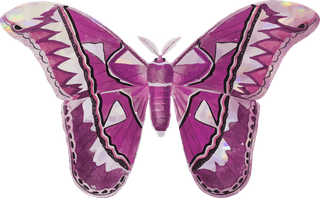 butterflypink-holographic-glittery-butterfly-design-element-set-vector-856958