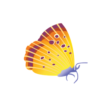 butterflyvector-hexapod-graphics-624353