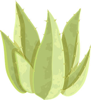 simplecactus-illustration-prickly-pear-cactus-golden-barrel-cactus-saguaro-cactus-torch-cactus-ball-cactus-golden-rat-tail-cactus-360453