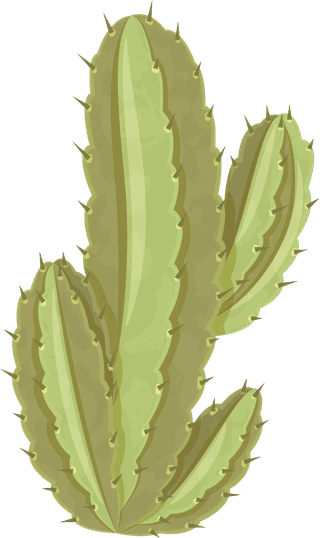 simplecactus-illustration-prickly-pear-cactus-golden-barrel-cactus-saguaro-cactus-torch-cactus-ball-cactus-golden-rat-tail-cactus-339357