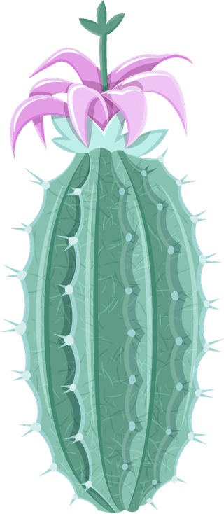 simplecactus-illustration-prickly-pear-cactus-golden-barrel-cactus-saguaro-cactus-torch-cactus-ball-cactus-golden-rat-tail-cactus-316810