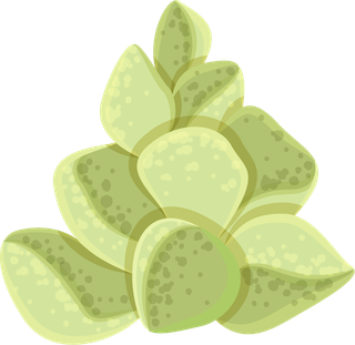 simplecactus-illustration-prickly-pear-cactus-golden-barrel-cactus-saguaro-cactus-torch-cactus-ball-cactus-golden-rat-tail-cactus-336353