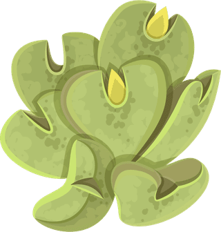simplecactus-illustration-prickly-pear-cactus-golden-barrel-cactus-saguaro-cactus-torch-cactus-ball-cactus-golden-rat-tail-cactus-357428