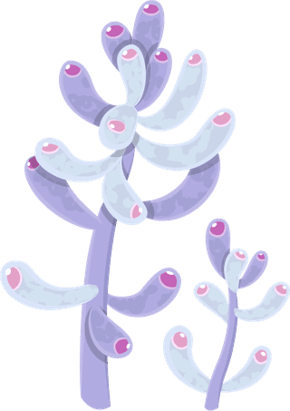 simplecactus-illustration-prickly-pear-cactus-golden-barrel-cactus-saguaro-cactus-torch-cactus-ball-cactus-golden-rat-tail-cactus-347306